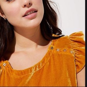 LOFT Plus Flounce Cap Velvet Sleeve Top Size 24